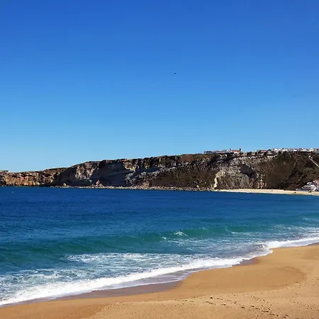 Oceanscape - 50 Meters From The Beach